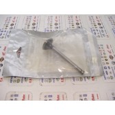 VALVE, EXHAUST (.25)